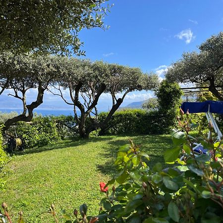Sorrento Olive Tree Garden Ξενοδοχείο Εξωτερικό φωτογραφία