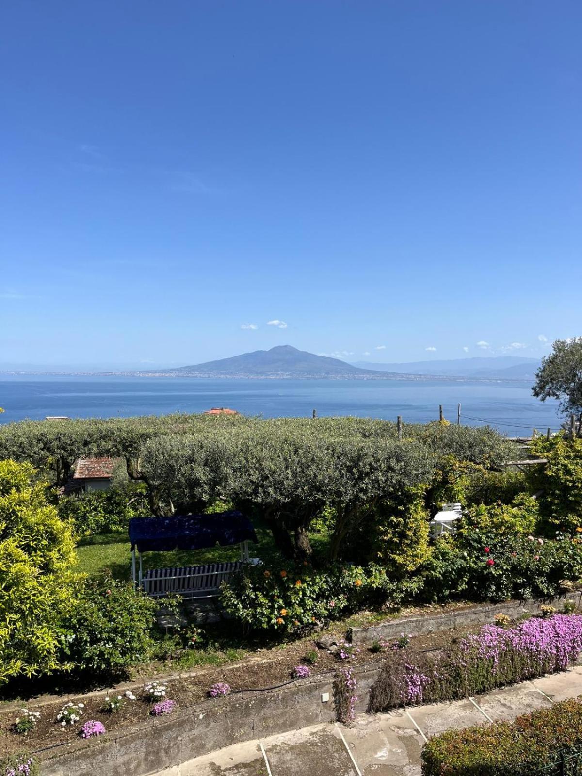 Sorrento Olive Tree Garden Ξενοδοχείο Εξωτερικό φωτογραφία