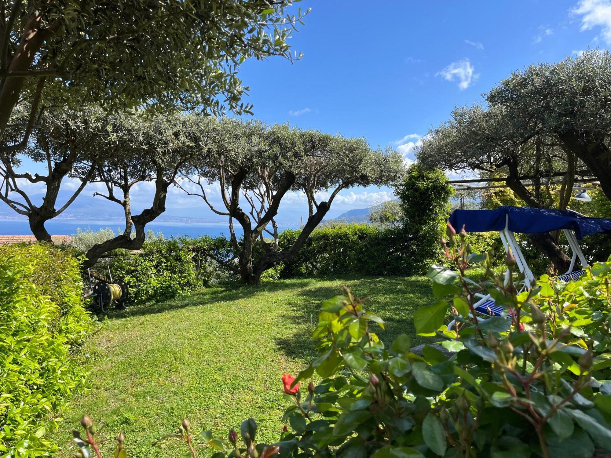 Sorrento Olive Tree Garden Ξενοδοχείο Εξωτερικό φωτογραφία