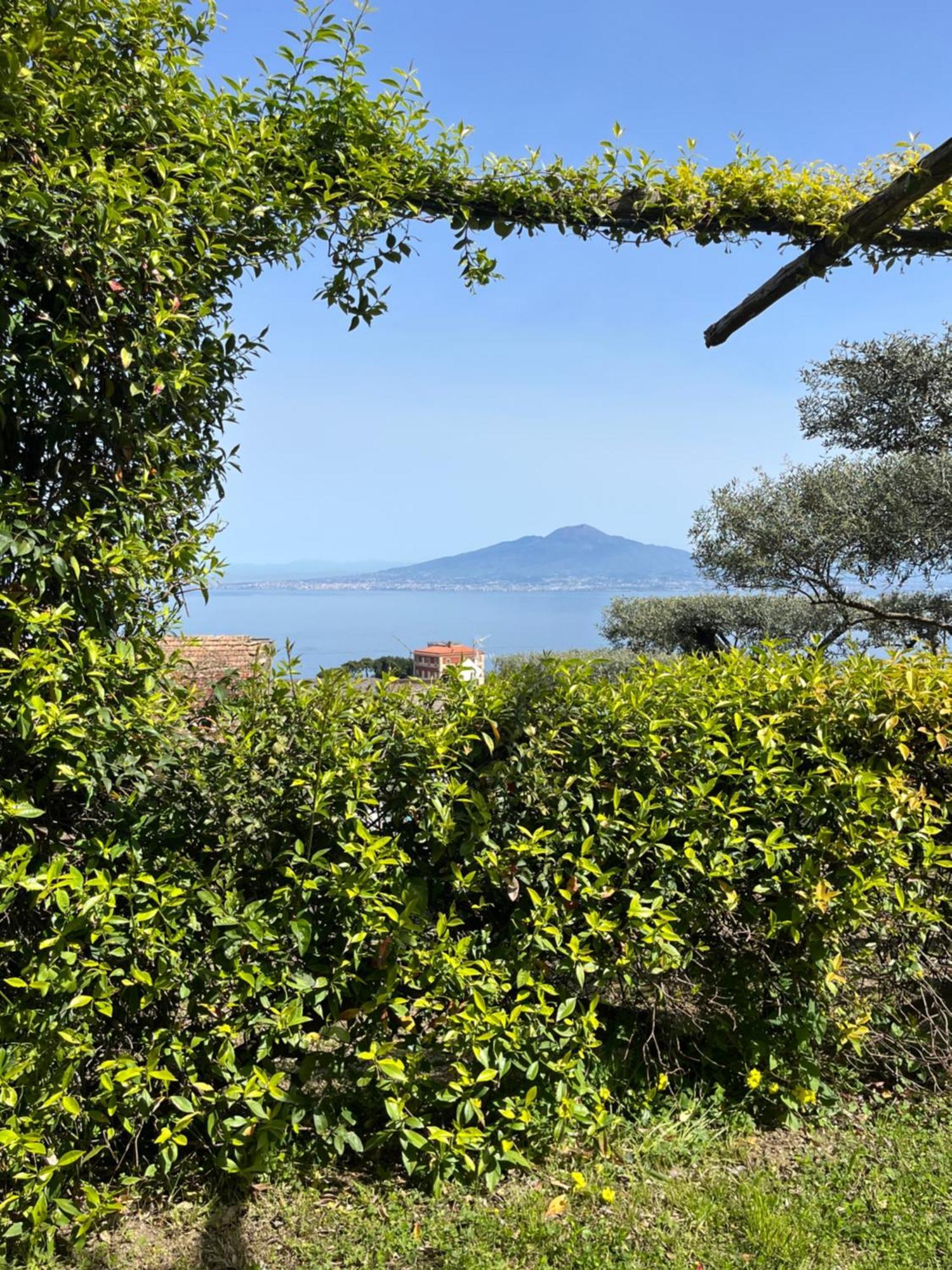 Sorrento Olive Tree Garden Ξενοδοχείο Εξωτερικό φωτογραφία